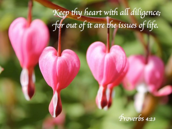 354a6-bevardithjerte-001-tiff